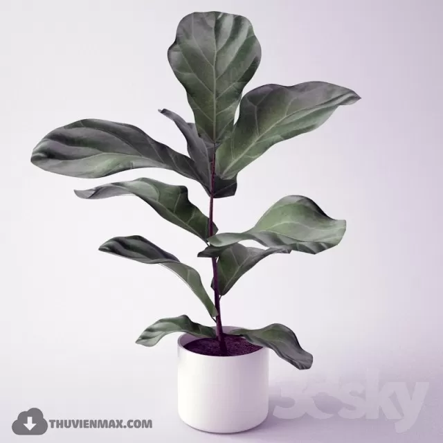 PRO PLANT 3D MODELS – 437