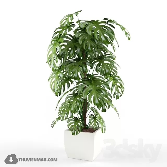 PRO PLANT 3D MODELS – 442