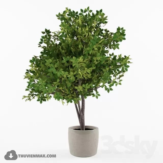 PRO PLANT 3D MODELS – 443