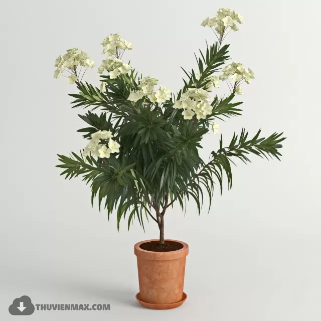 PRO PLANT 3D MODELS – 448