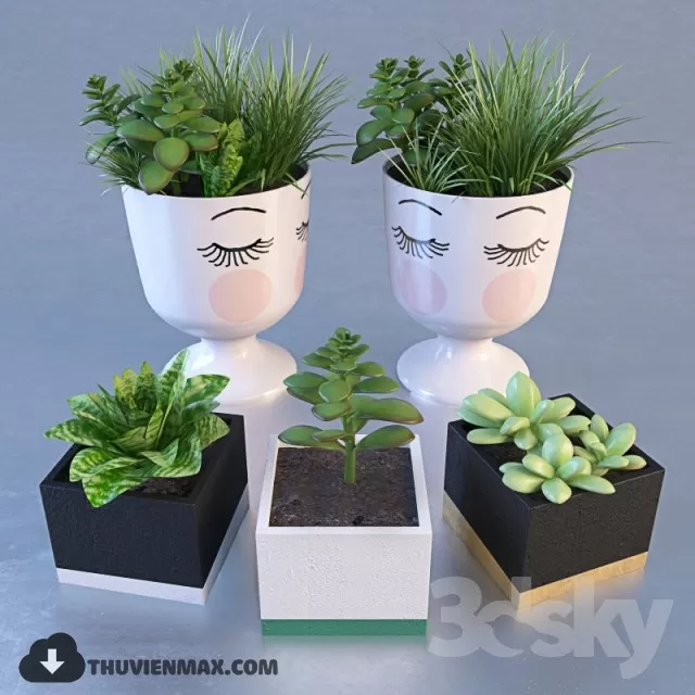 PRO PLANT 3D MODELS – 452