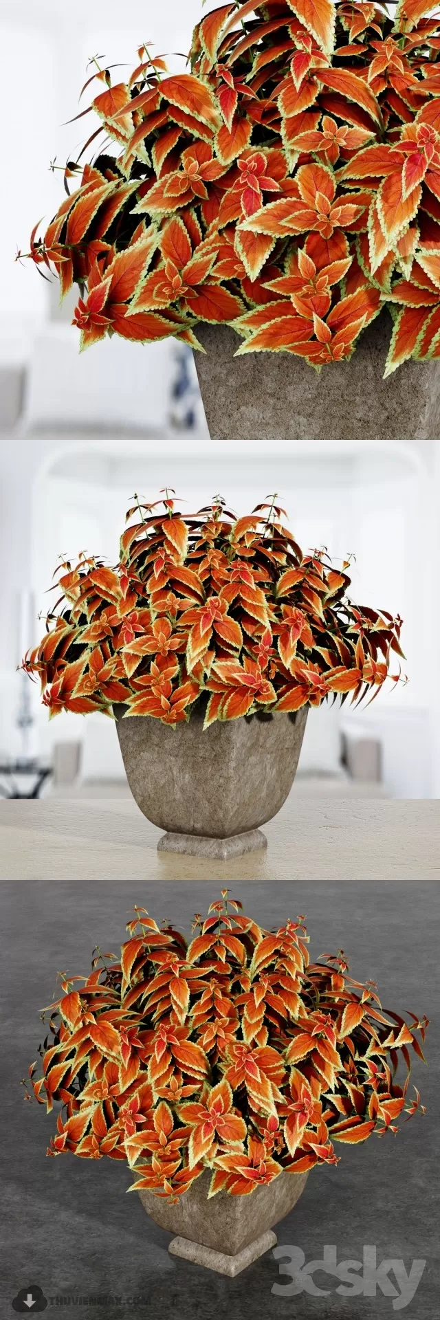 PRO PLANT 3D MODELS – 455