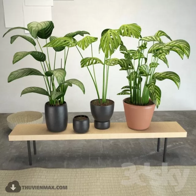 PRO PLANT 3D MODELS – 456