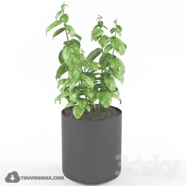 PRO PLANT 3D MODELS – 457