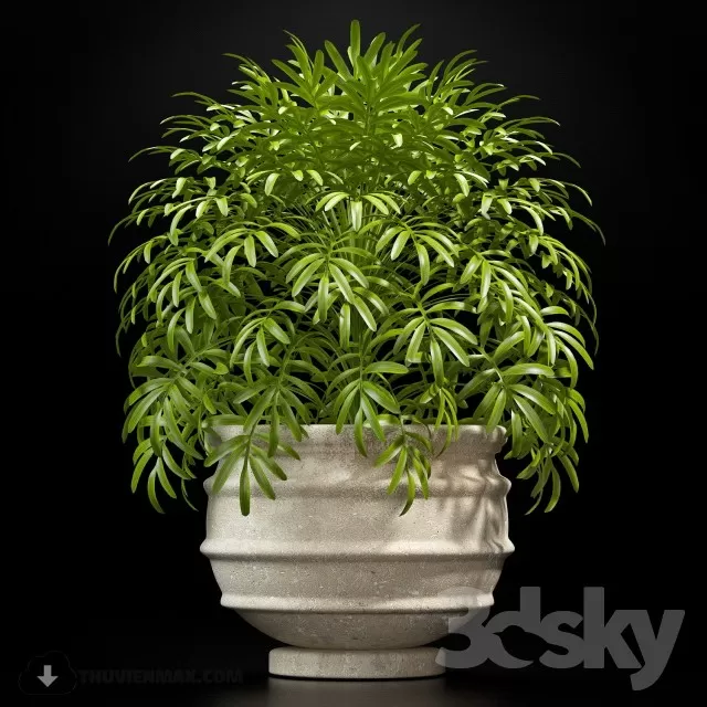 PRO PLANT 3D MODELS – 458