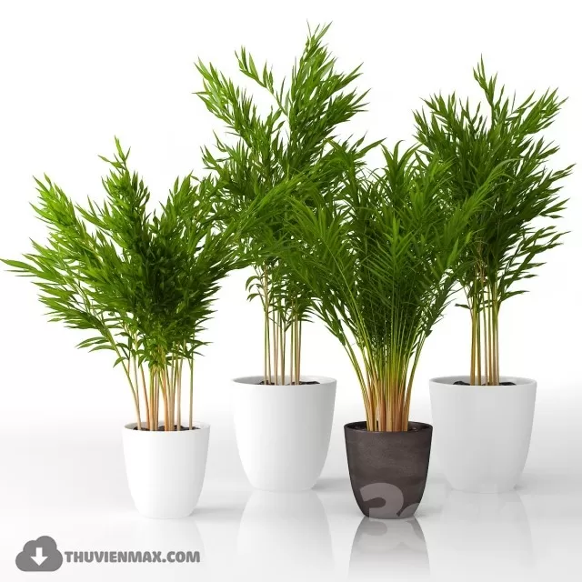 PRO PLANT 3D MODELS – 461