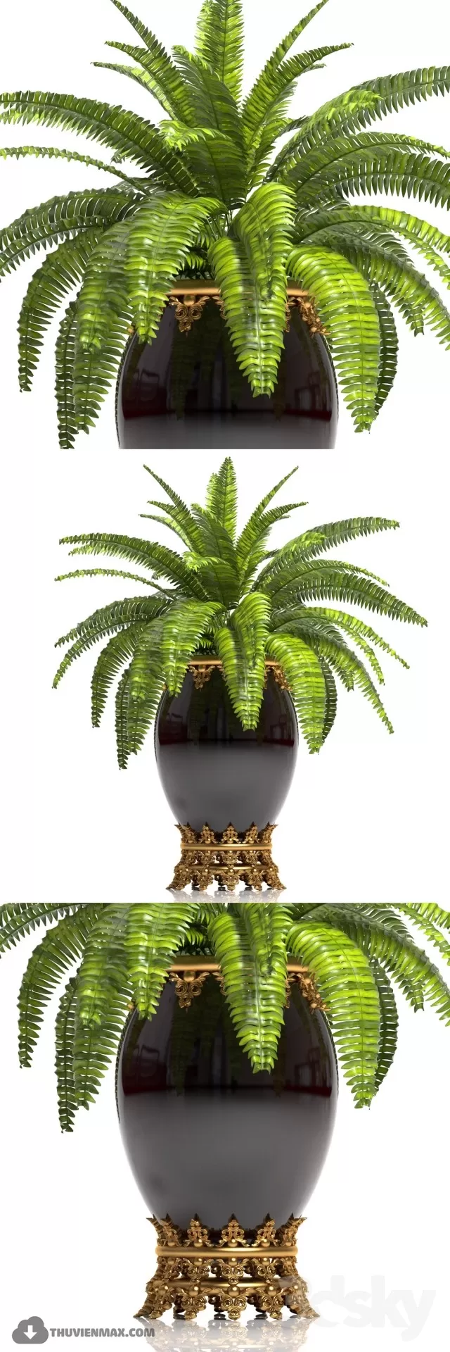 PRO PLANT 3D MODELS – 462