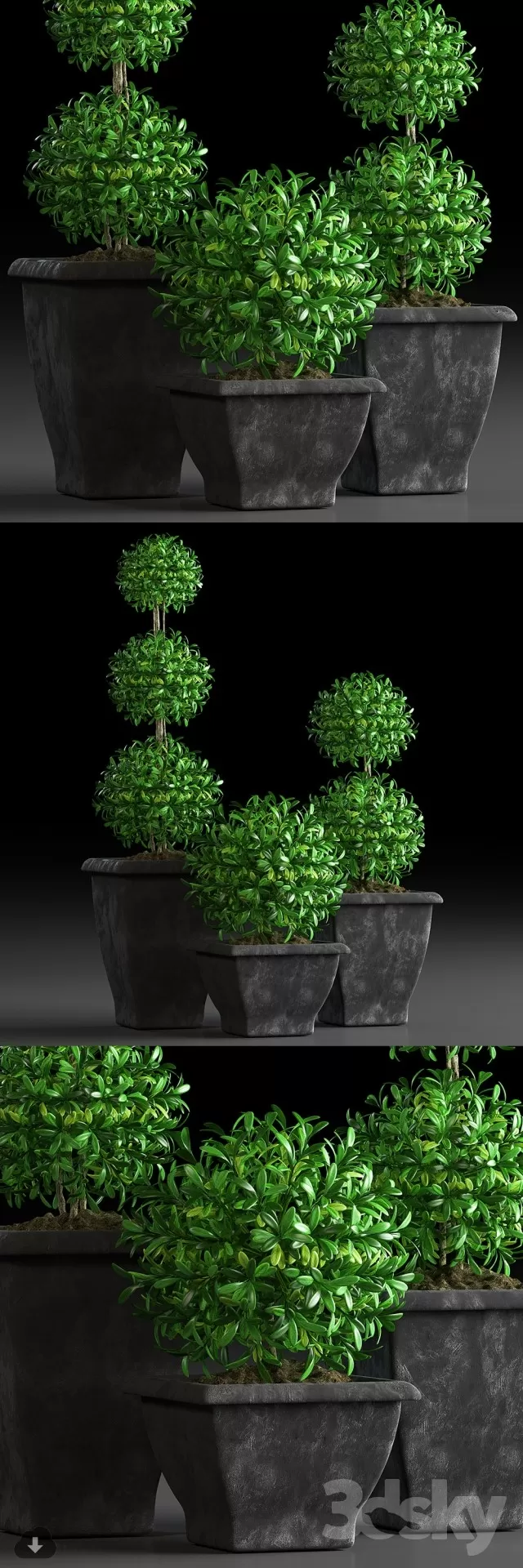 PRO PLANT 3D MODELS – 464