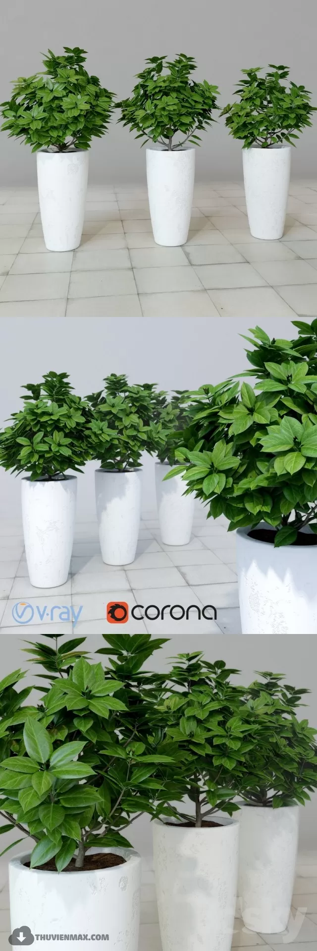 PRO PLANT 3D MODELS – 466