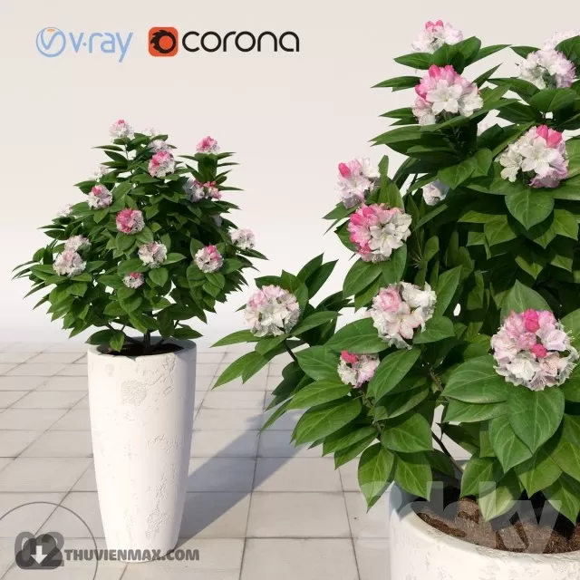 PRO PLANT 3D MODELS – 467
