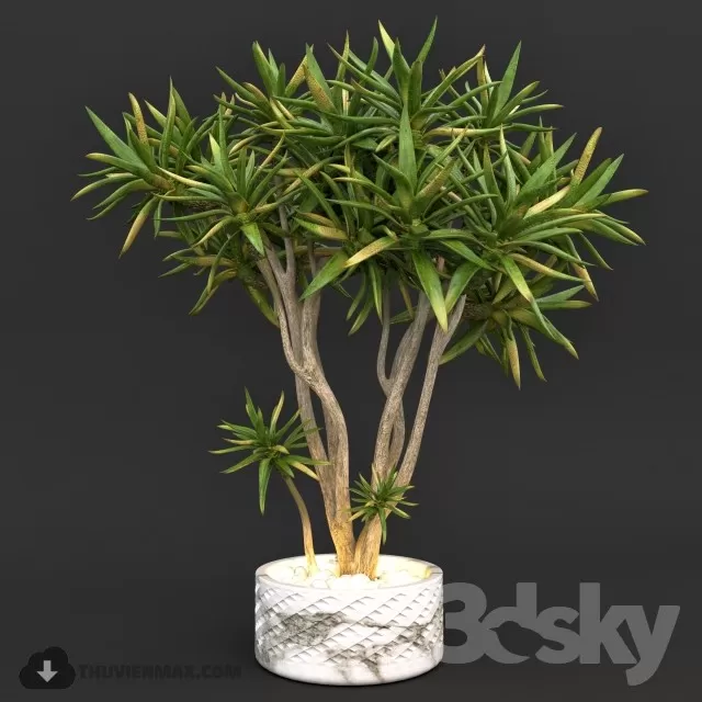 PRO PLANT 3D MODELS – 469