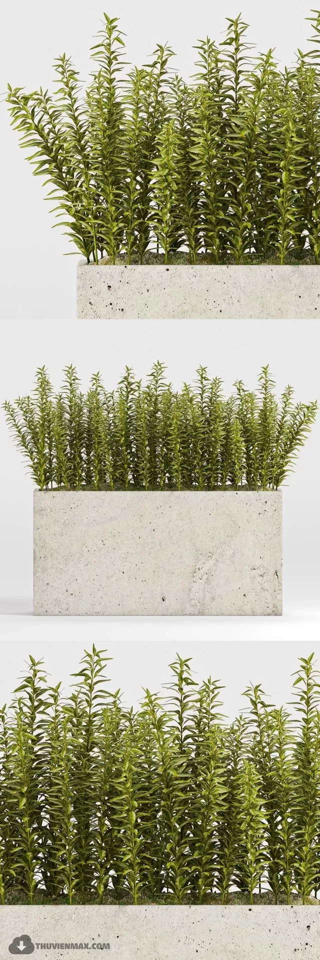 PRO PLANT 3D MODELS – 473