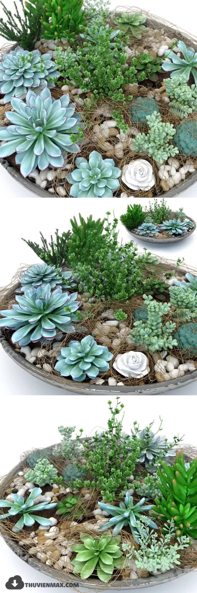 PRO PLANT 3D MODELS – 474