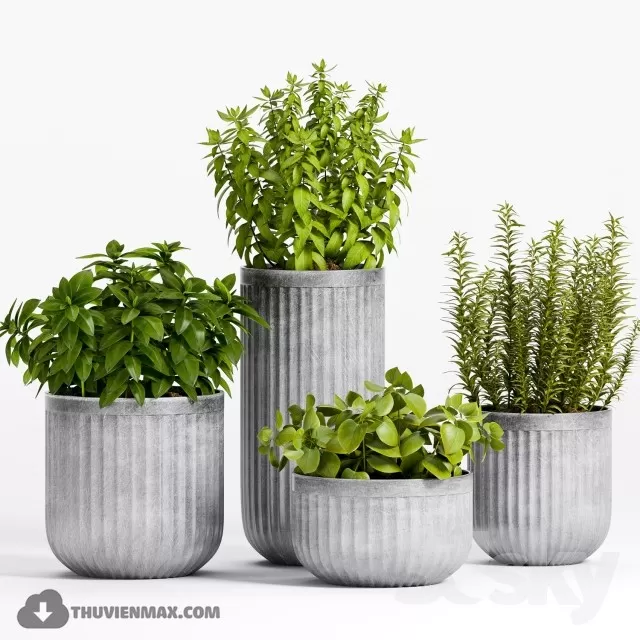 PRO PLANT 3D MODELS – 478