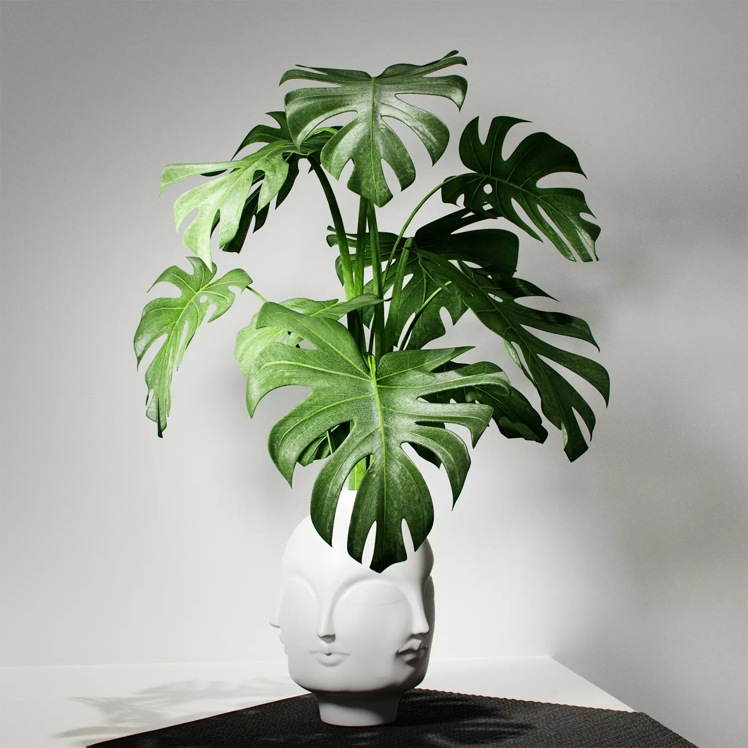 PRO PLANT 3D MODELS – 479