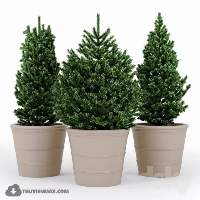 PRO PLANT 3D MODELS – 480