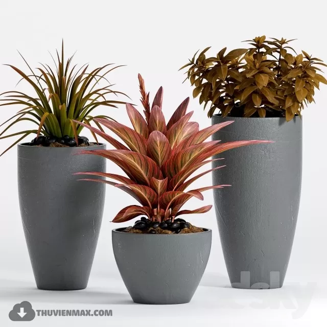PRO PLANT 3D MODELS – 482