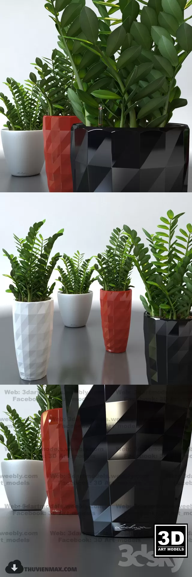 PRO PLANT 3D MODELS – 485