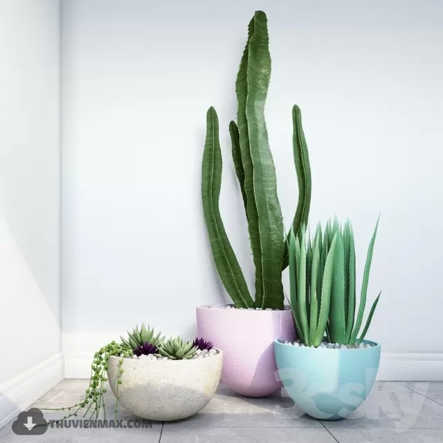 PRO PLANT 3D MODELS – 489