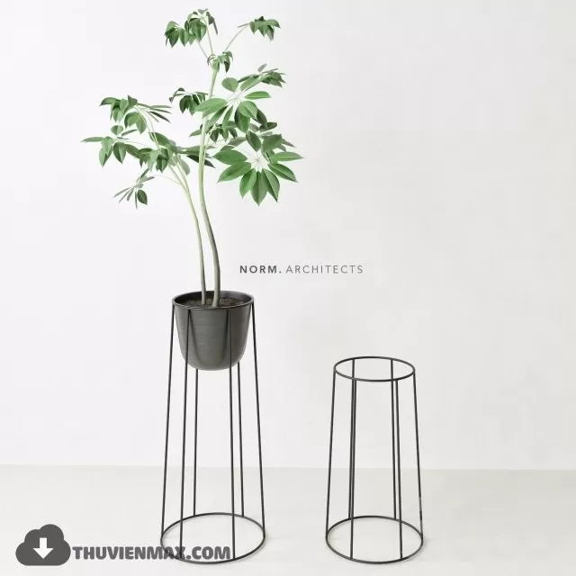 PRO PLANT 3D MODELS – 499