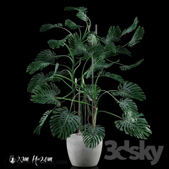 PRO PLANT 3D MODELS – 500