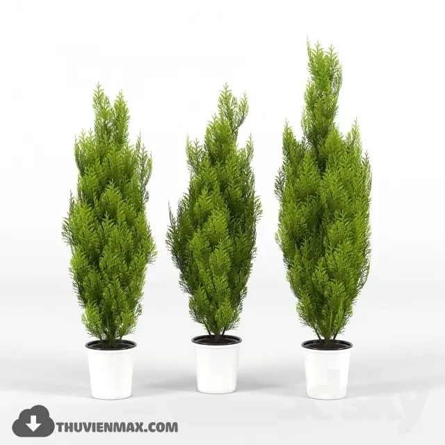 PRO PLANT 3D MODELS – 502