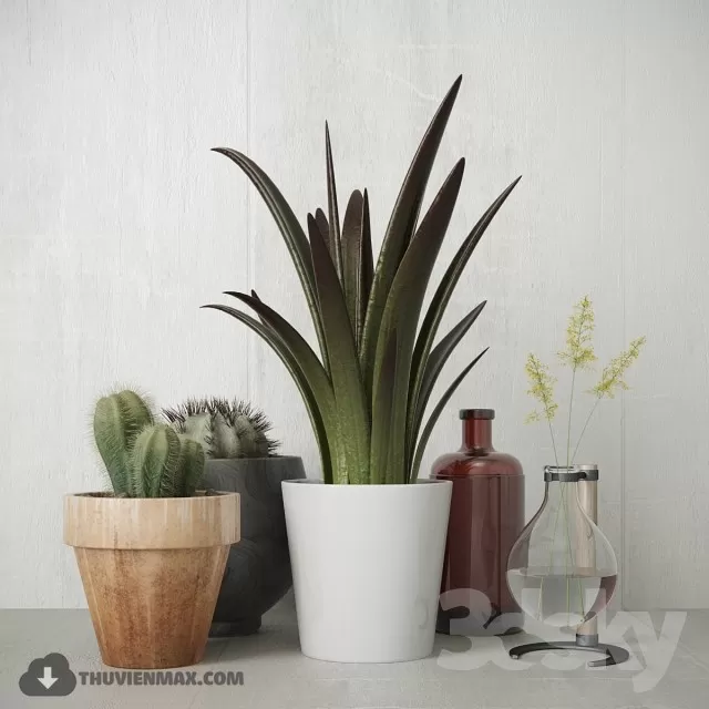 PRO PLANT 3D MODELS – 503