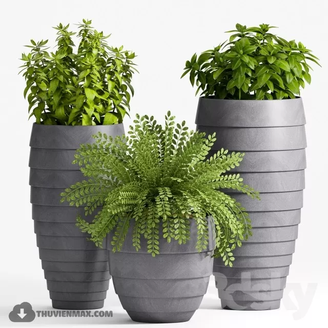 PRO PLANT 3D MODELS – 504