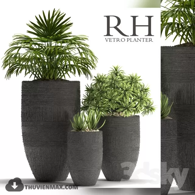 PRO PLANT 3D MODELS – 509