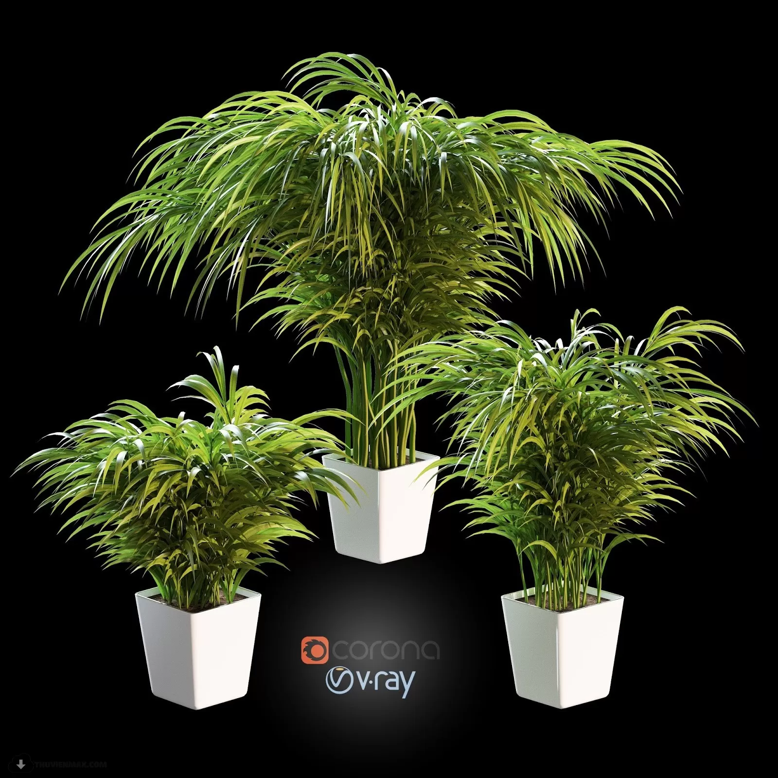 PRO PLANT 3D MODELS – 511