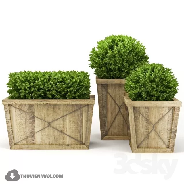 PRO PLANT 3D MODELS – 514