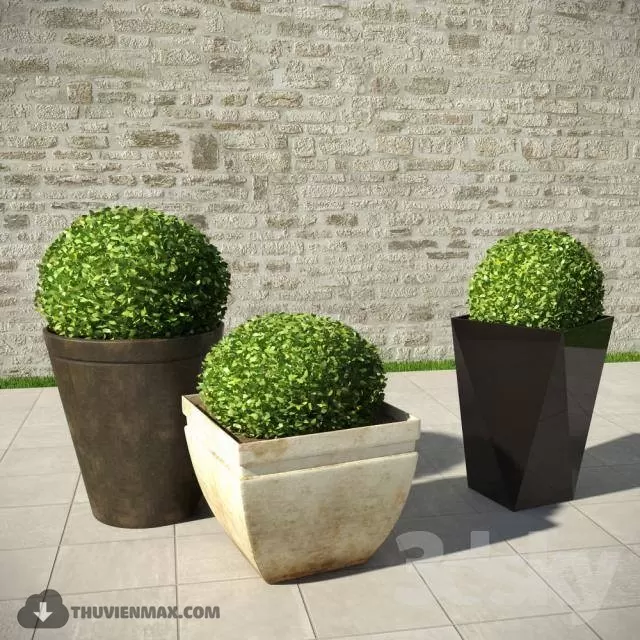 PRO PLANT 3D MODELS – 515