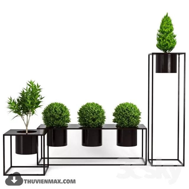 PRO PLANT 3D MODELS – 516