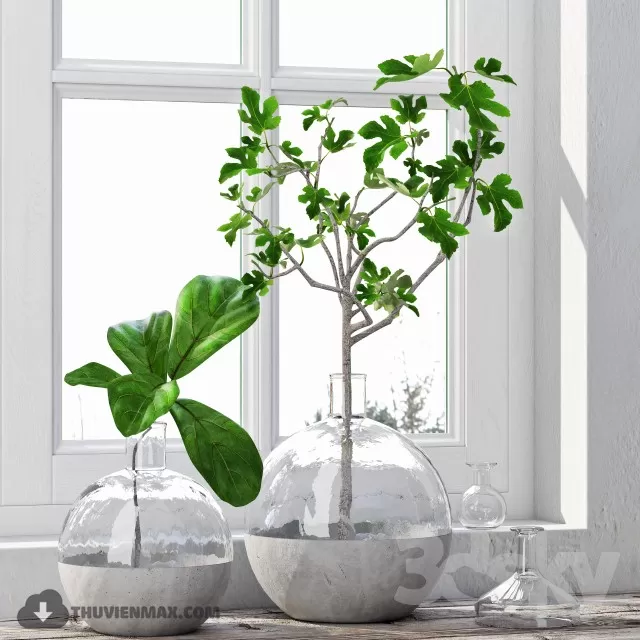 PRO PLANT 3D MODELS – 518
