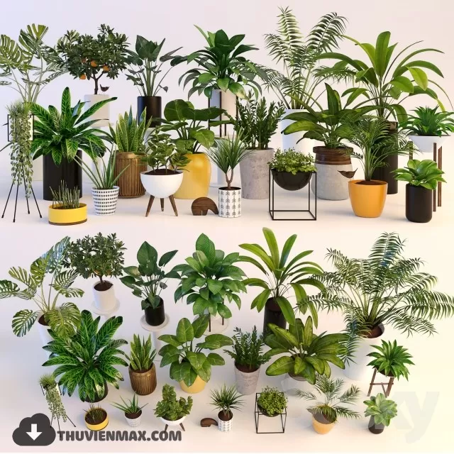 PRO PLANT 3D MODELS – 519