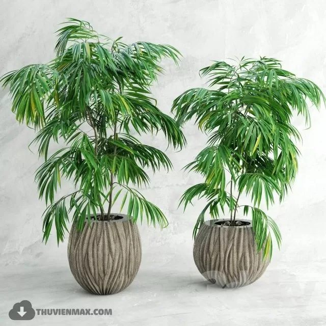 PRO PLANT 3D MODELS – 520