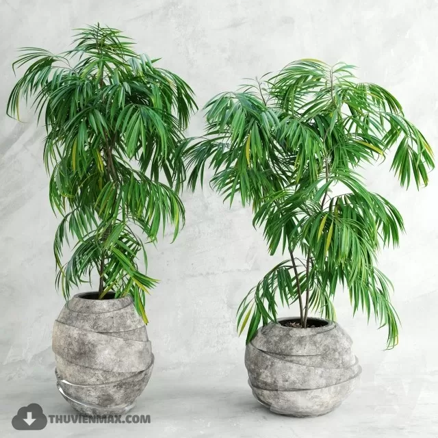 PRO PLANT 3D MODELS – 521
