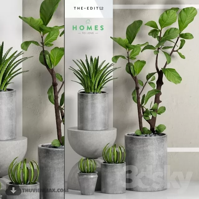 PRO PLANT 3D MODELS – 522