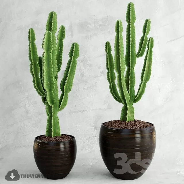 PRO PLANT 3D MODELS – 523