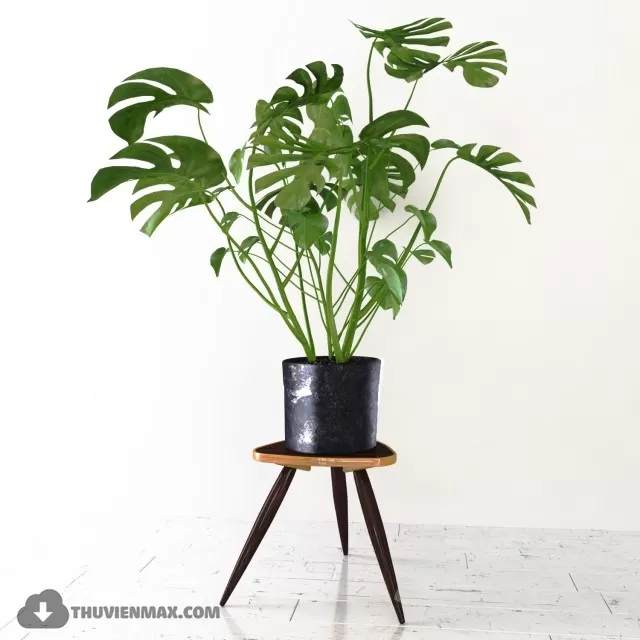 PRO PLANT 3D MODELS – 525