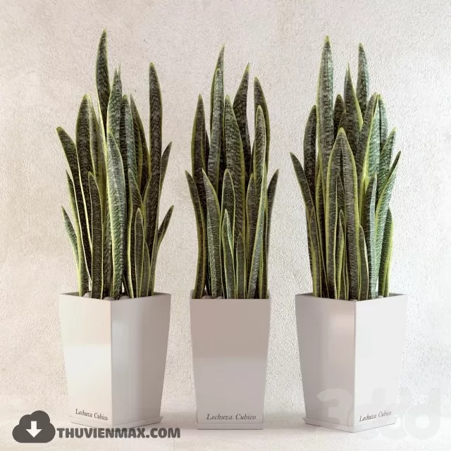 PRO PLANT 3D MODELS – 527