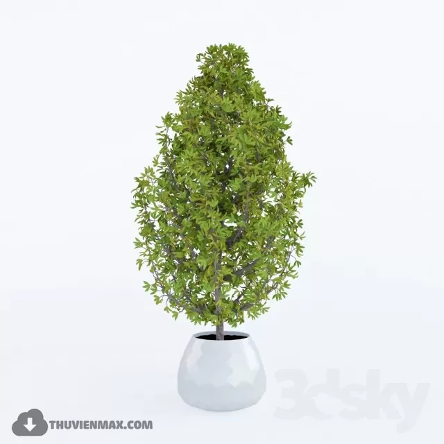 PRO PLANT 3D MODELS – 529