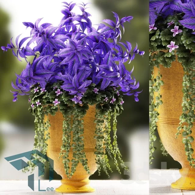 PRO PLANT 3D MODELS – 535