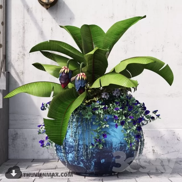 PRO PLANT 3D MODELS – 537