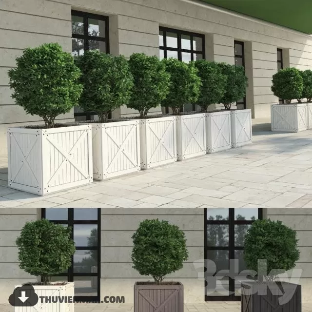 PRO PLANT 3D MODELS – 541