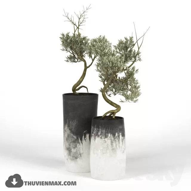 PRO PLANT 3D MODELS – 543