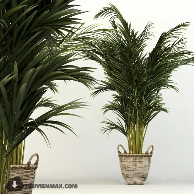 PRO PLANT 3D MODELS – 545