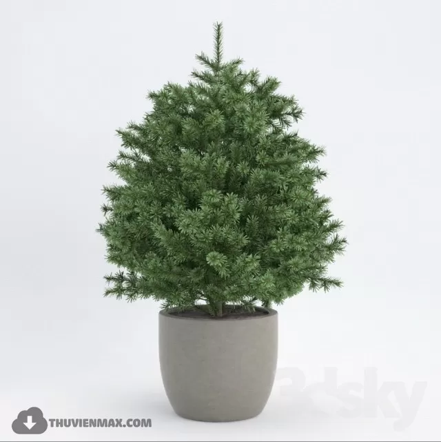 PRO PLANT 3D MODELS – 549