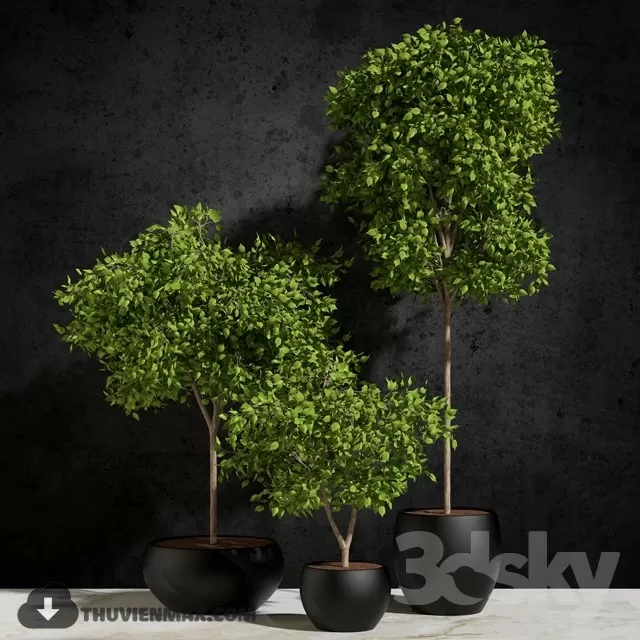 PRO PLANT 3D MODELS – 550