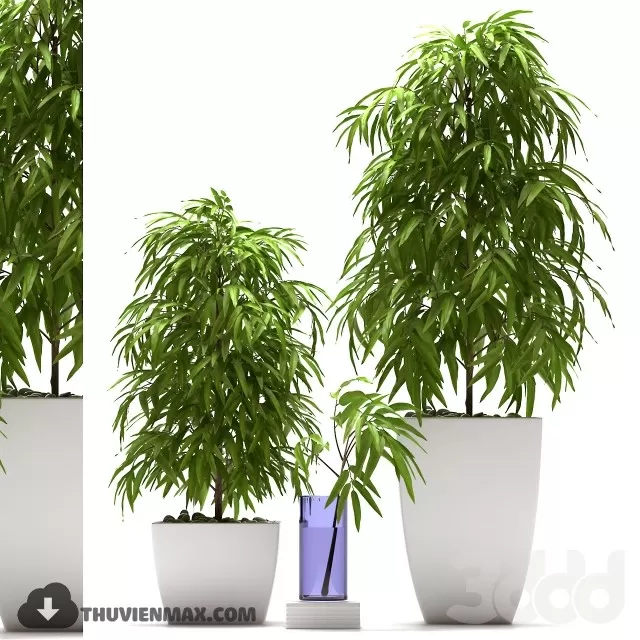 PRO PLANT 3D MODELS – 553